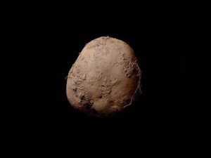 Η φωτογραφία αυτής της πατάτας πουλήθηκε 1.000.000 ευρώ 