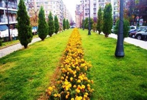 Δημιουργούνται πυρήνες πρασίνου σε 8 Δήμους της Θεσσαλονίκης. Αναλυτικά οι δήμοι