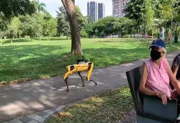 Spot: Ο Σκύλος-ρομπότ που «περιπολεί» σε πάρκο στη Σιγκαπούρη και ελέγχει τις αποστάσεις ασφαλείας  (βίντεο)