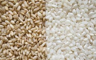 Λευκό Vs Καστανό ρύζι: τι ισχύει τελικά;