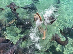 Καρχαρίας δάγκωσε μοντέλο του Instagram κατά τη διάρκεια φωτογράφισης στις Μπαχάμες