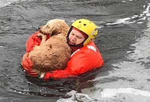 Αίσιο τέλος για παγιδευμένο σκύλο στον ποταμό Νέστο
