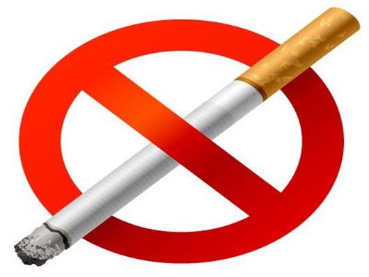 «Οι βλαπτικές επιπτώσεις του καπνίσματος στην Υγεία»