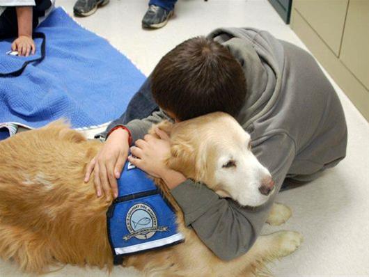1η Ημερίδα ενημέρωσης για την Θεραπεία με την βοήθεια των ζώων –  AAT σε άτομα με αναπηρίες και ψυχικές ασθένειες