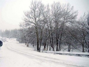 Χιόνια στα ορεινά του Νομού Θεσσαλονίκης - έκλεισε από τα χιόνια ο δρόμος Αγίου Βασιλείου - Χορτιάτη 