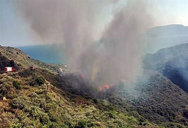 Ζάκυνθος: Μεγάλη πυρκαγιά σε εξέλιξη στη θέση Βροντόνερο 