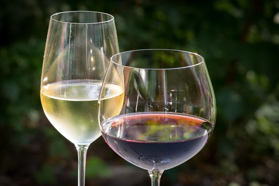 Ποτηρια για λευκό και κόκκινο κρασί