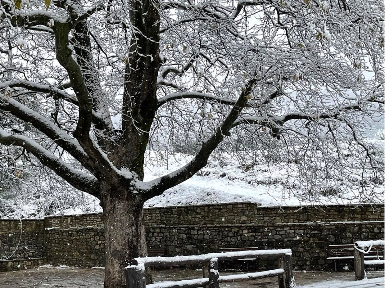 Χιονισμένο τοπίο με δέντρο και παγκάκι