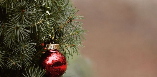 Γιατί στολίζουμε Χριστουγεννιάτικο δέντρο;