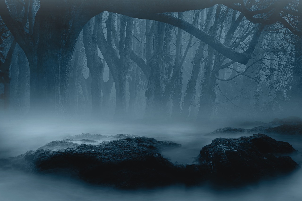 Σκοτεινό δάσος με ομίχλη