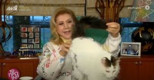 Η Λίτσα Πατέρα με τον γάτο της
