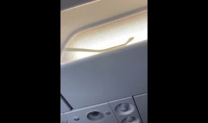 Φίδι σε καμπίνα αεροπλάνου