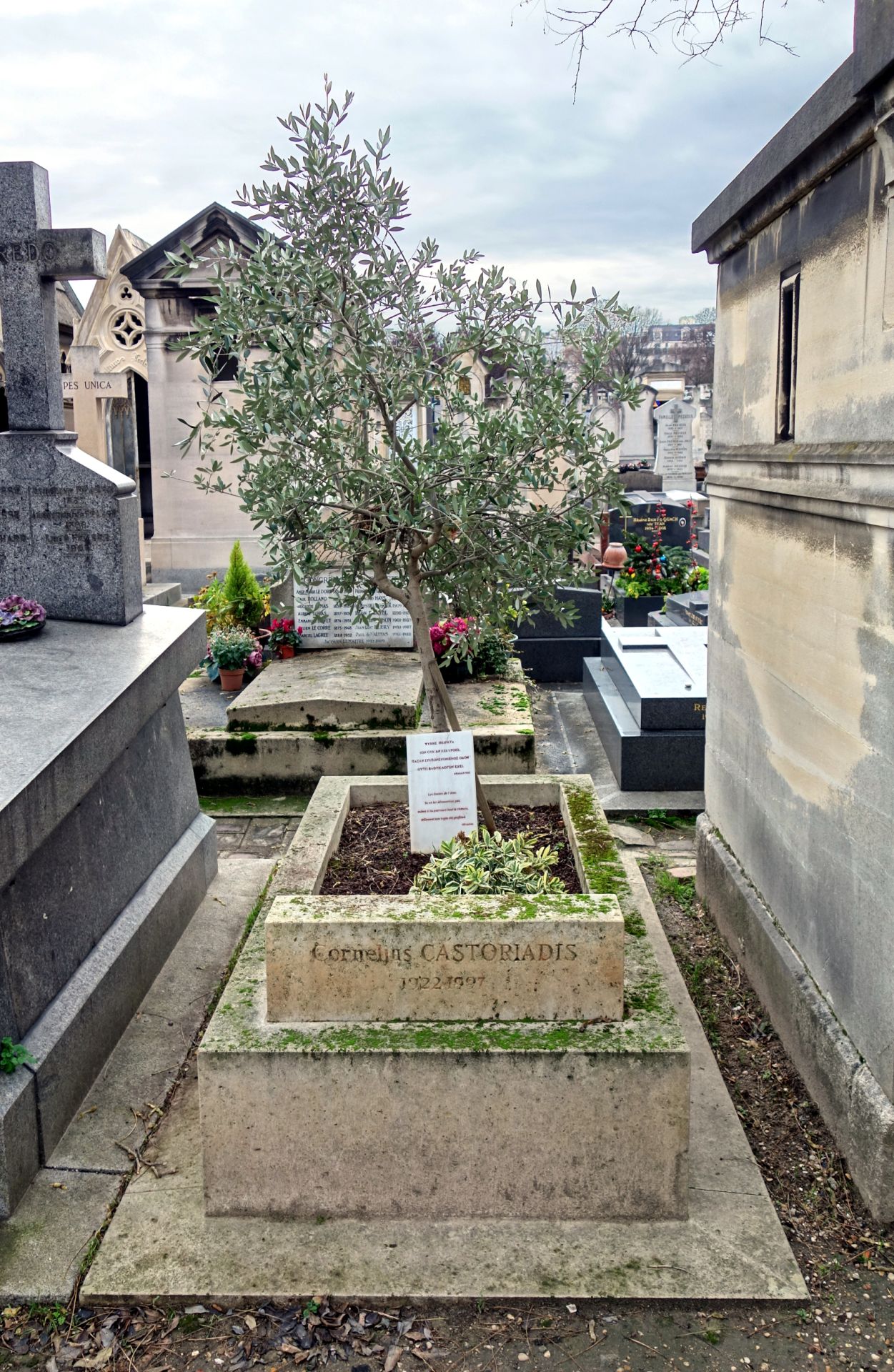 Ο Τάφος του Κορνήλιου Καστοριάδη στο κοιμητήριο Montparnasse.