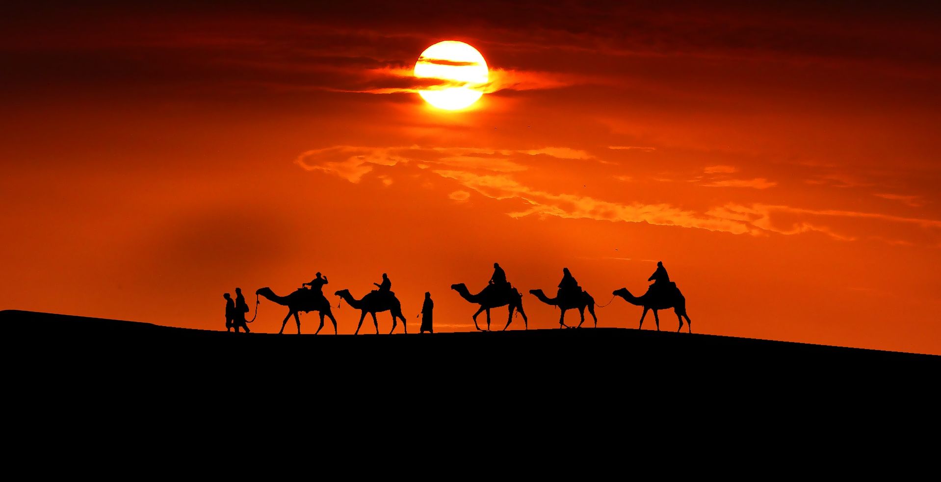 καραβάνι με καμήλες στην έρημο