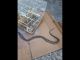 Φίδι στην αυλή σπιτιού