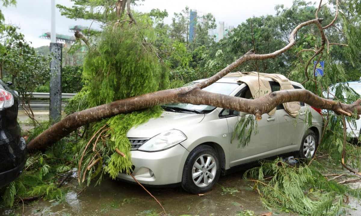 Πτώση δέντρου σε αυτοκίνητο