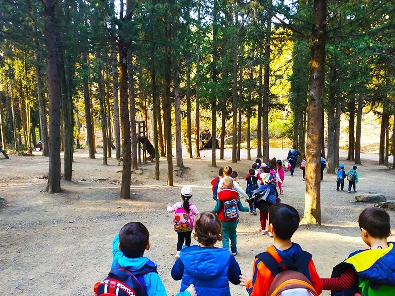 παιδιά τρέχουν σε δάσος