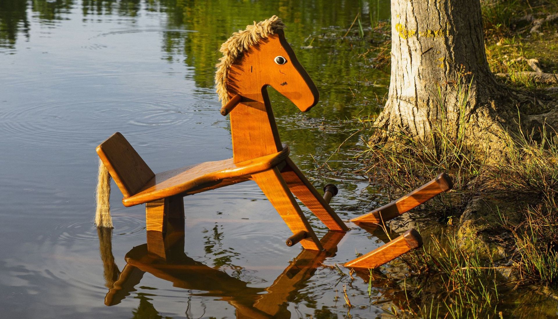 Ξύλινο αλογάκι μέσα σε μια λίμνη