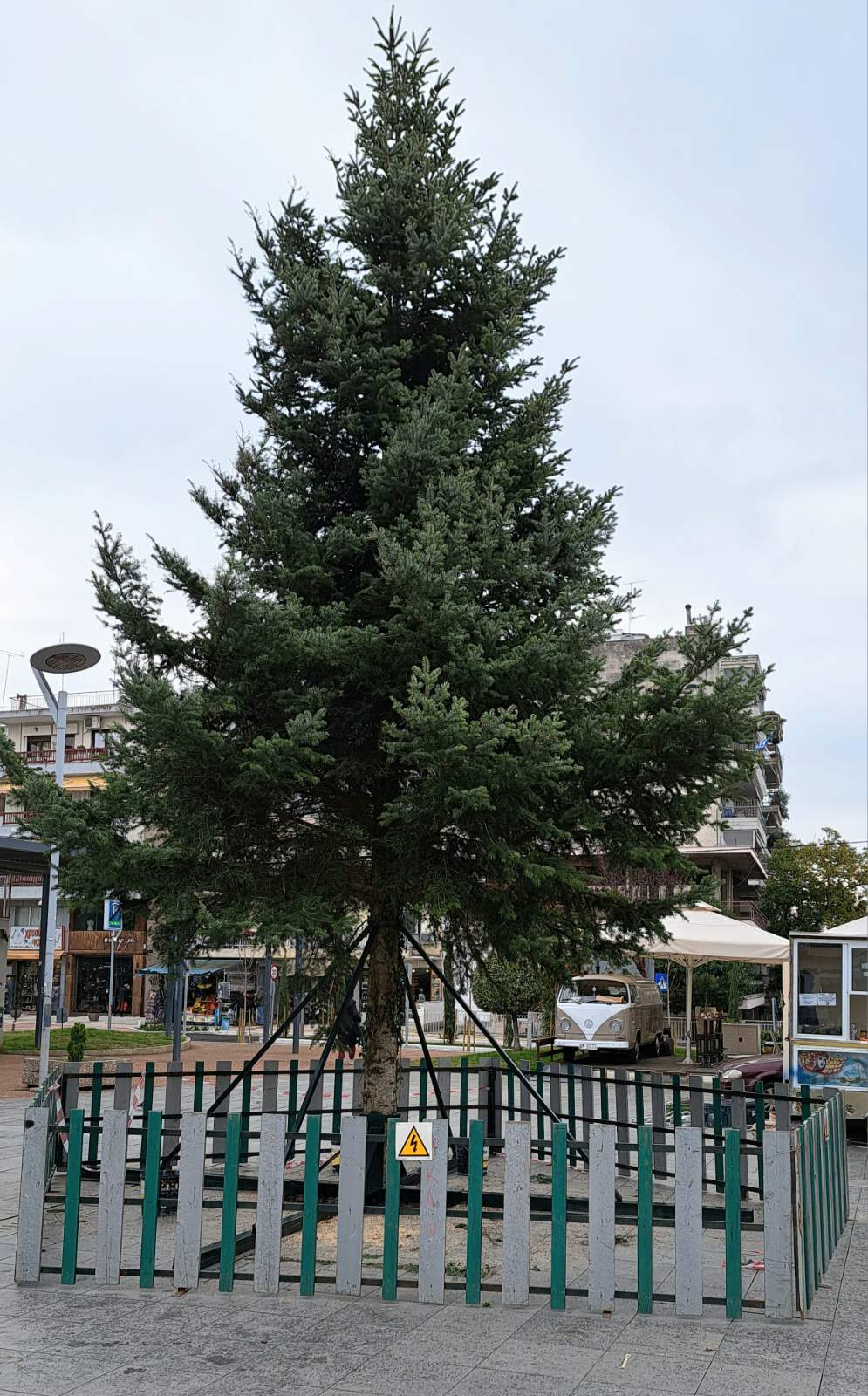 Δέντρο Καλαμαριά