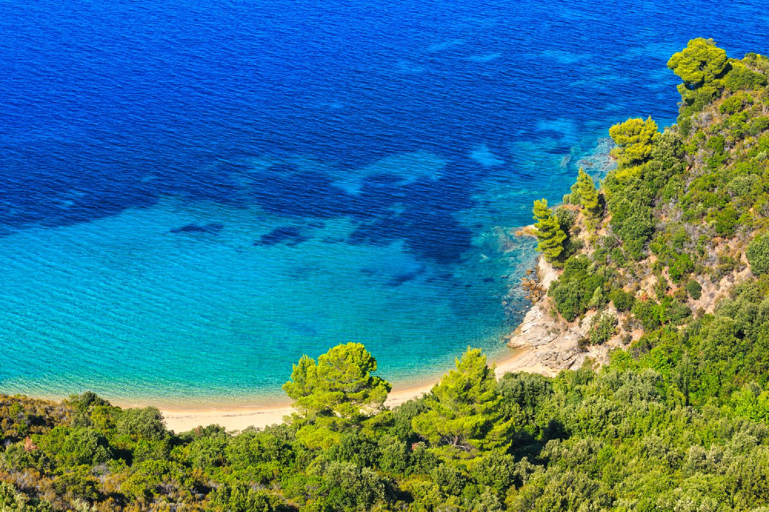 Aegean sea coast landscape with sandy beach (Chalkidiki, Greece).