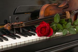 Βιολί, πιάνο και τριαντάφυλλο