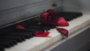 Πιάνο με τριαντάφυλλο