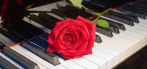 Ενα κοκκινο τριαντάφυλλο πάνω στα λευκά πλήκτρα ενός πιάνου