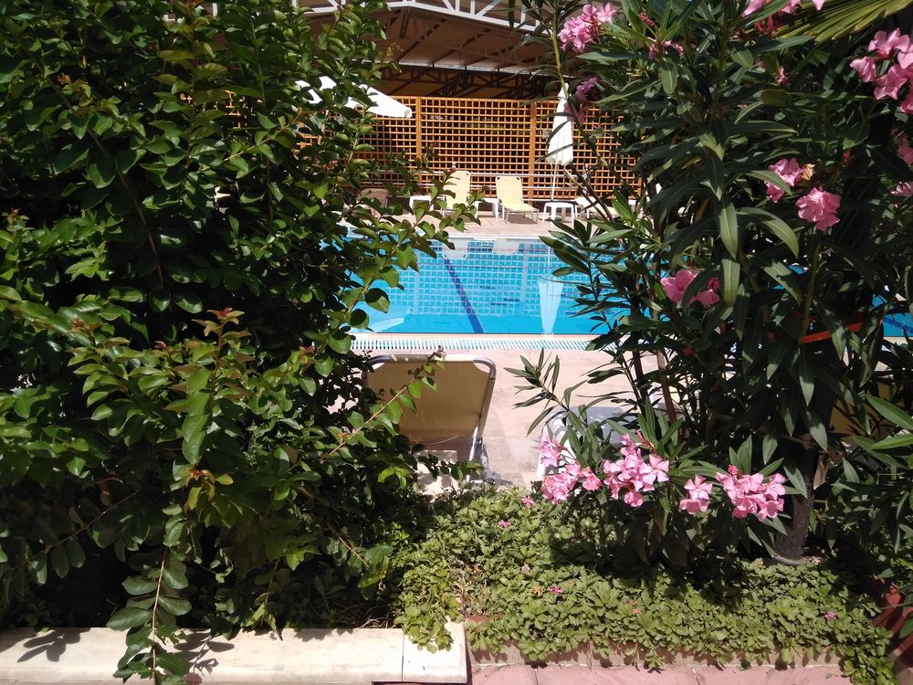 H πισίνα του Hotel Asteras ο΄πως φαίνεται σε ένα ανοιγμα αναμεσα από τα φυτα του κήπου