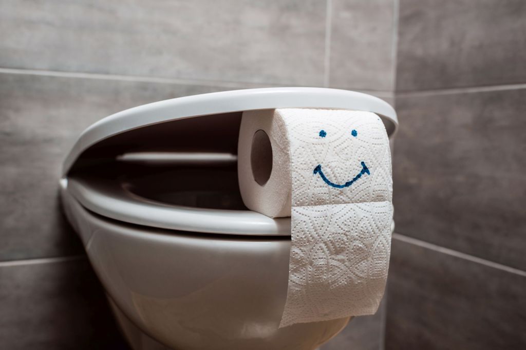 Λεκάνη τουαλέτας και το μισοάνοιχτο καπάκι στηρίζει ένα ρολό χαρτί τουαλέτας που έχει ζωγραφισμένο επάνω του ένα χαμόγελο